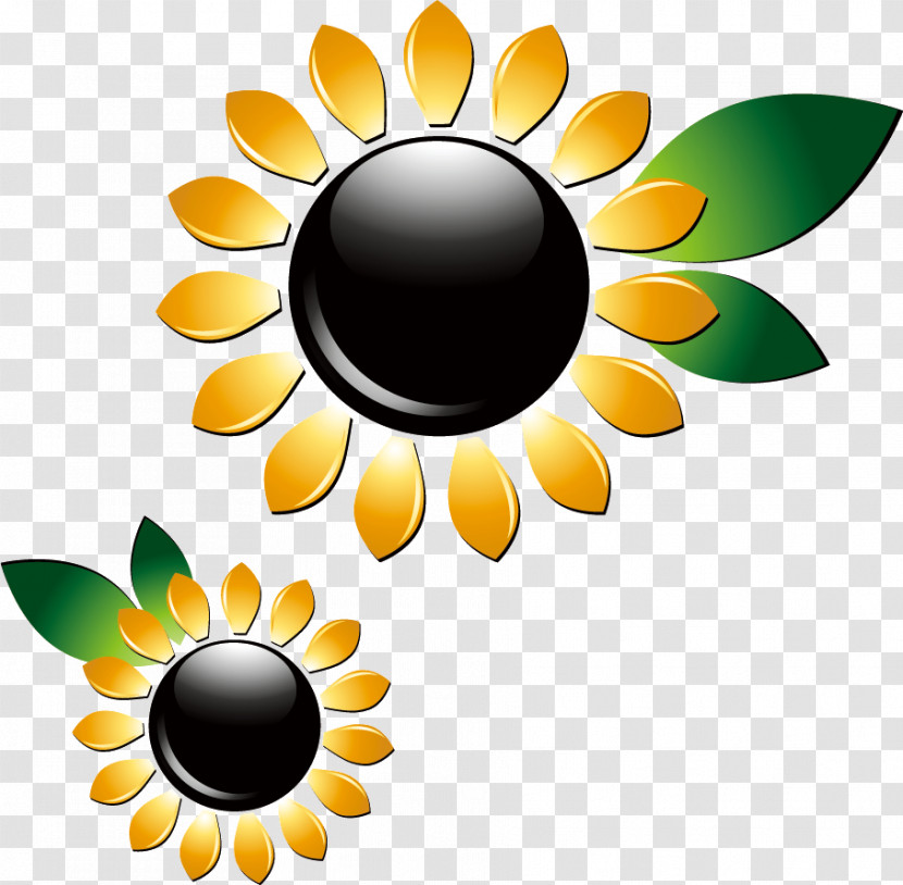 Sunflower Summer Flower Transparent PNG