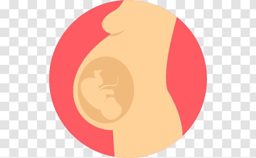 Pregnancy Medicine Health Gynecologist Childbirth - Tree Transparent PNG