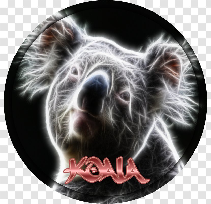 Snout Marsupial - Ncs Logo Transparent PNG