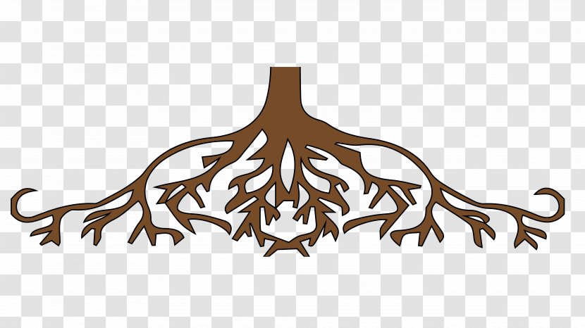 United States Root Tree Clip Art - Post Cards Transparent PNG
