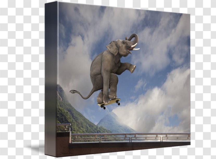 Asian Elephant Canvas Gallery Wrap Art - Lund Transparent PNG