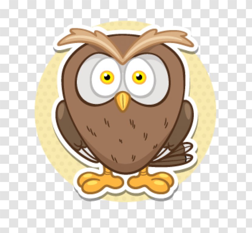 Owl Drawing Installation Transparent PNG