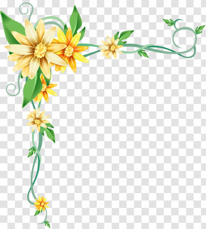 Drawing Flower Photography Clip Art - Flora - Gazania Transparent PNG