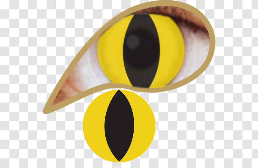 Dream Eyes Natural Contact Lenses Wildcat - Lens - Cat Transparent PNG