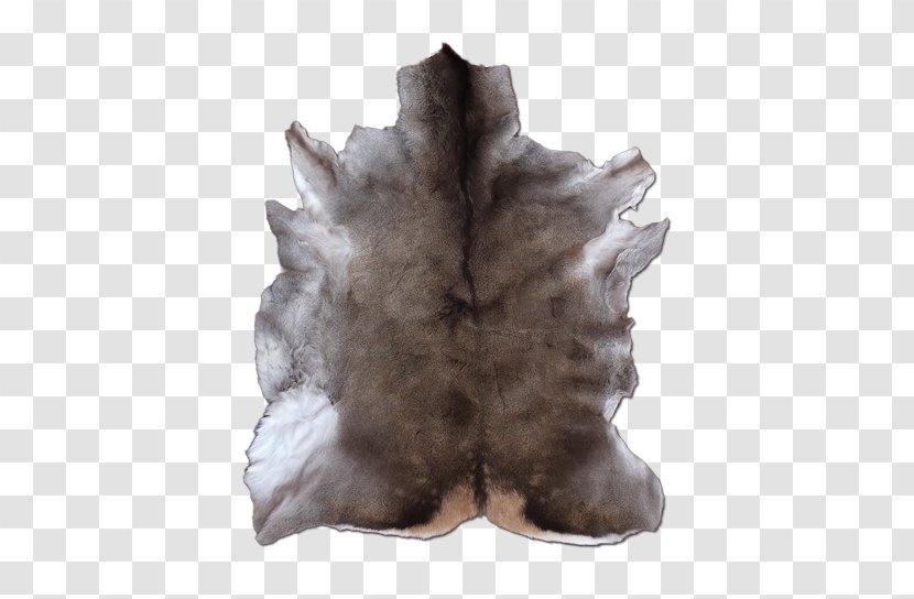 Tree Fur Transparent PNG