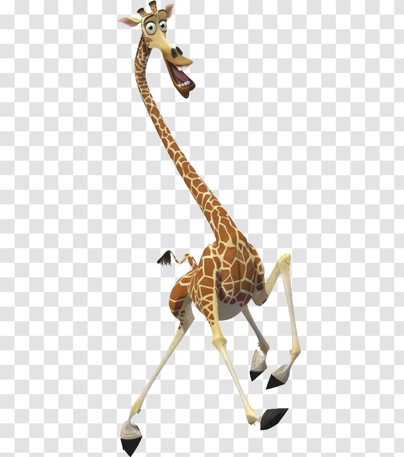 Melman Alex YouTube Madagascar Film - Penguins Of Transparent PNG