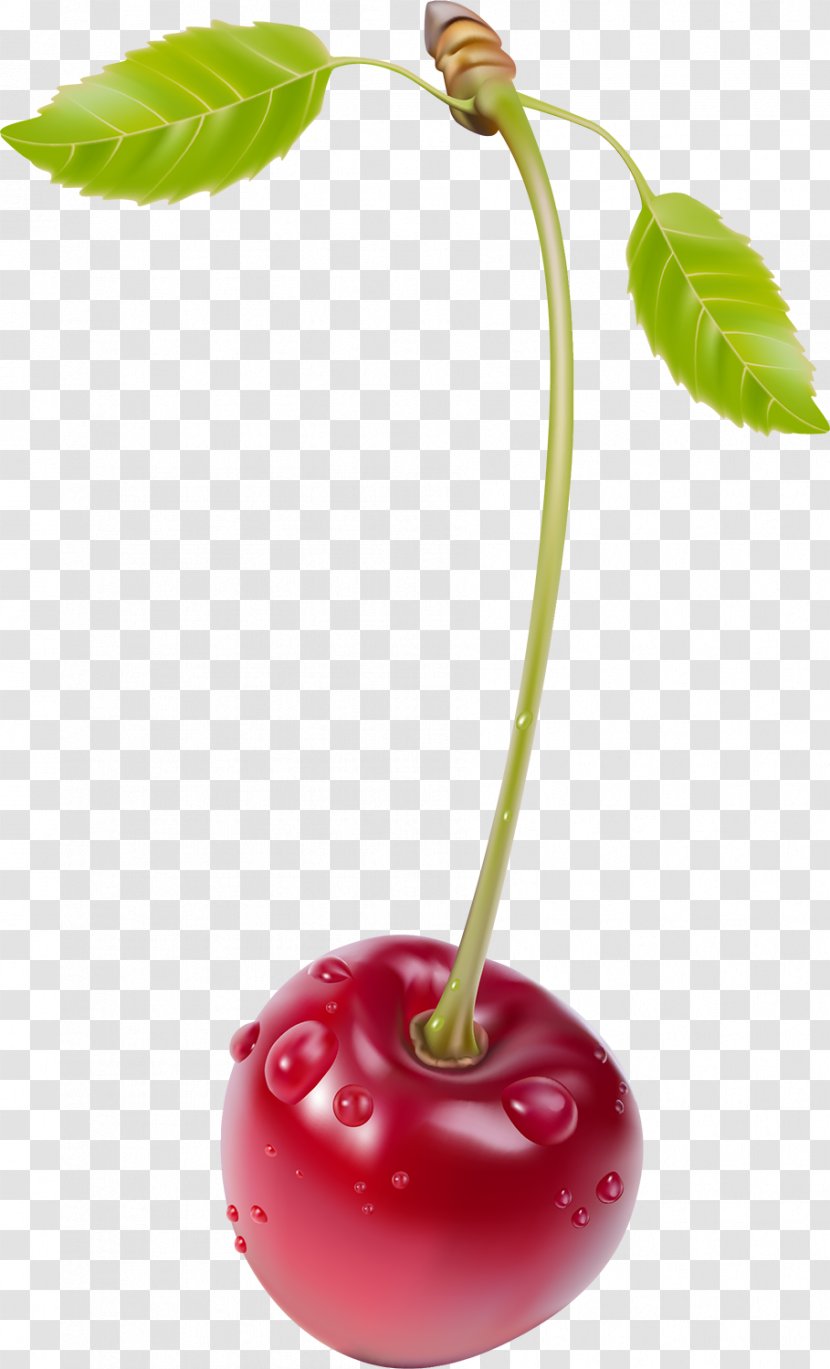 Cherry Blueberry Clip Art - Strawberry - Berries Transparent PNG