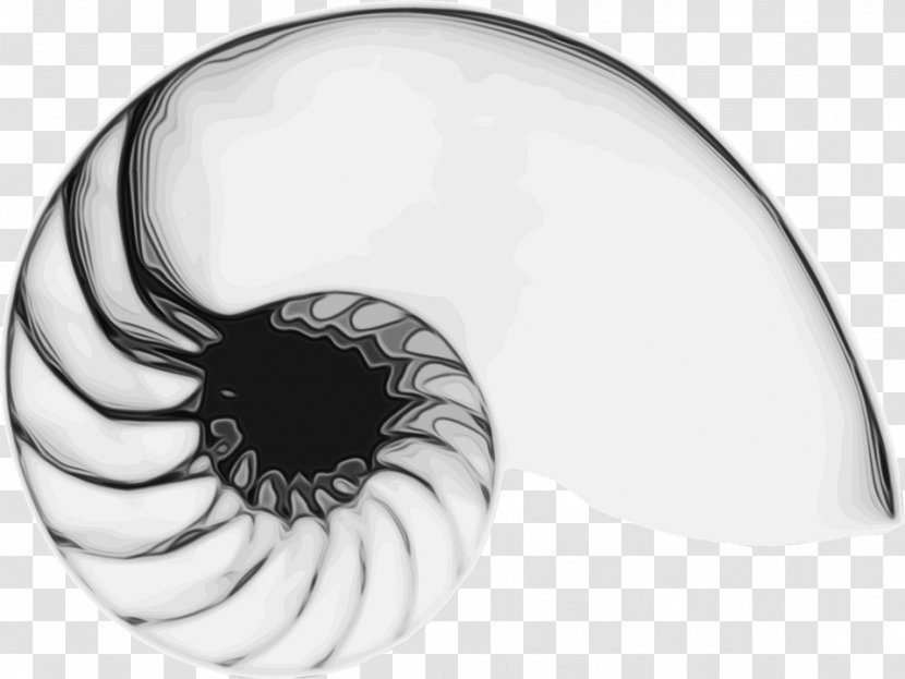 Eye Cartoon - Nautilus - Blackandwhite Transparent PNG