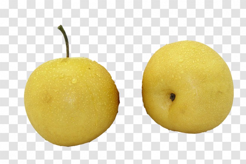 Sweet Lemon Citron Citrus Junos Asian Pear - Two Transparent PNG