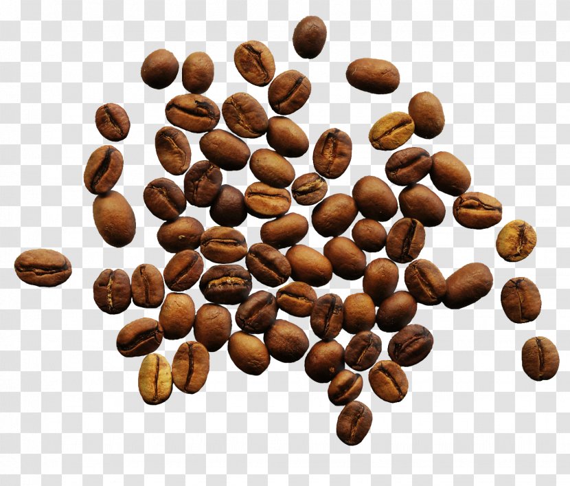 Single-origin Coffee Papua New Guinea Jamaican Blue Mountain Production In Indonesia - Coffea - Beans Image Transparent PNG