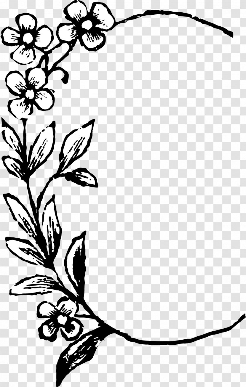 Floral Design Illustration Visual Arts Clip Art - Black And White - Watercolor Fern Transparent PNG