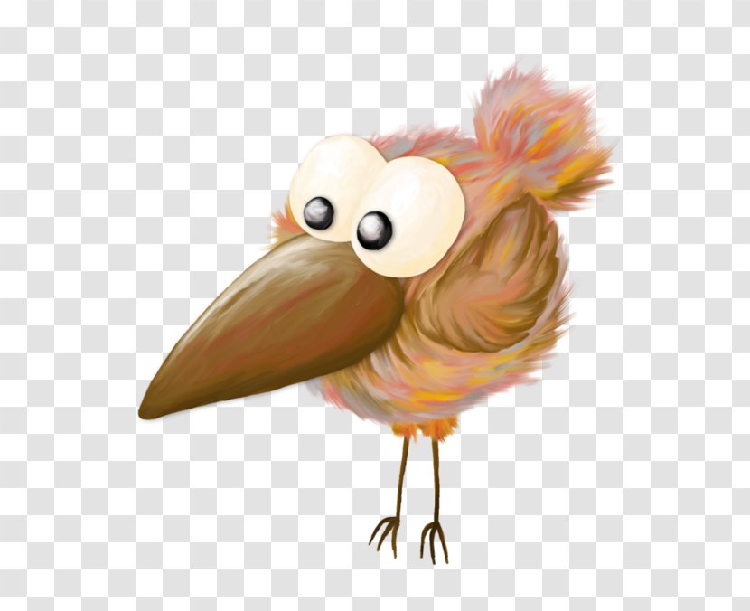 Chicken Bird Cartoon Transparent PNG