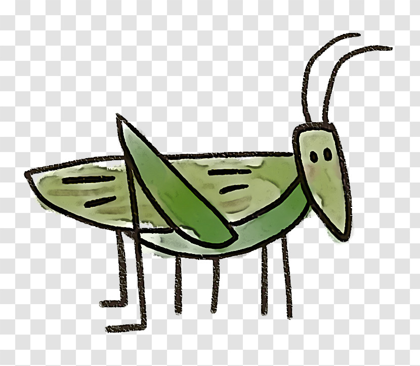 Insect Grasshopper Transparent PNG