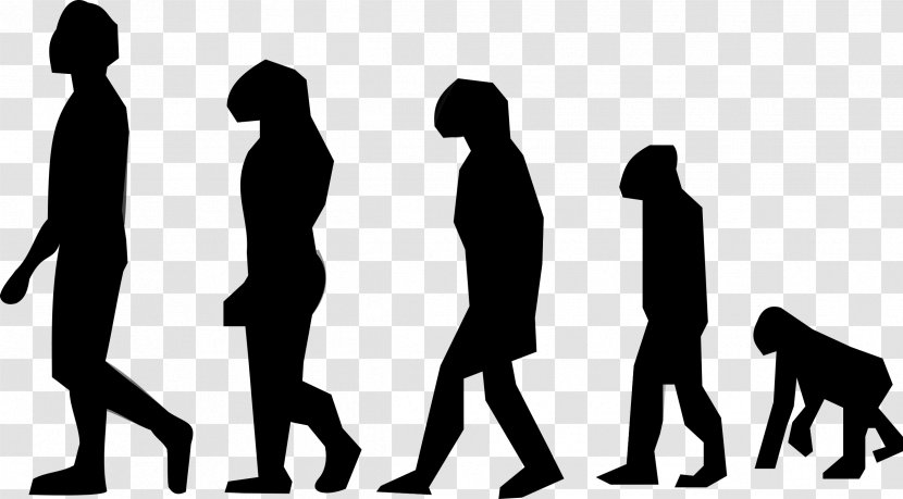 Evolution Vertebrate Organism Neanderthal Human - Gesture - Biology Transparent PNG