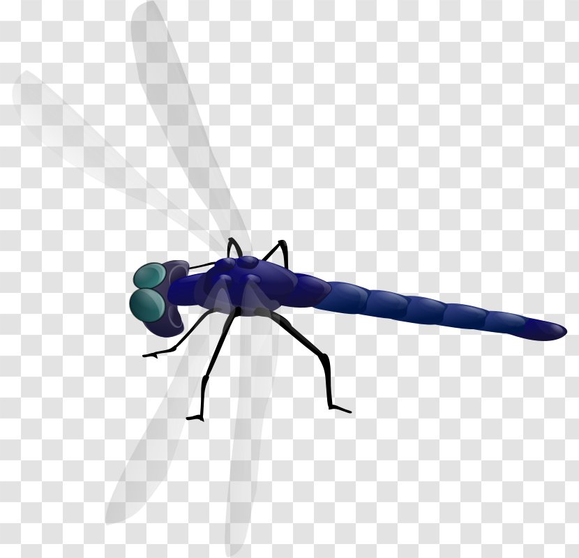 Dragonfly Free Content Clip Art - Animated Pictures Transparent PNG