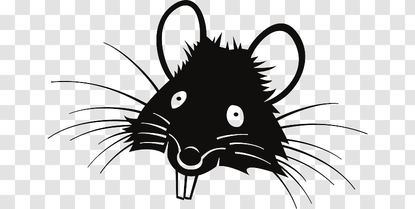 Laboratory Rat Mouse Black Clip Art - Vertebrate Transparent PNG