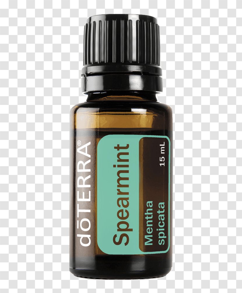 Peppermint Mentha Spicata Essential Oil DoTerra - Greas Transparent PNG
