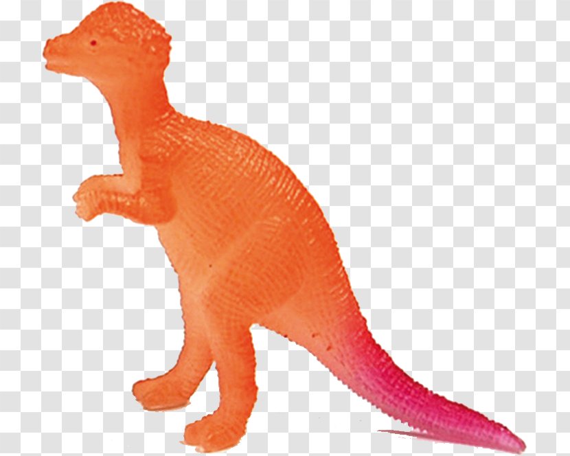 Tyrannosaurus Pachycephalosaurus Velociraptor Paleontology Terrestrial Animal - Orange Sa Transparent PNG