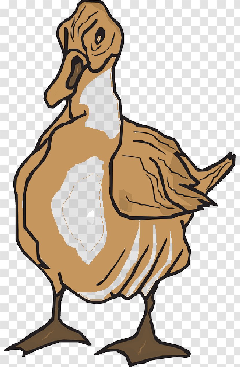 Duck Clip Art Goose Vector Graphics - Emoticon - Brown Feathers Transparent PNG