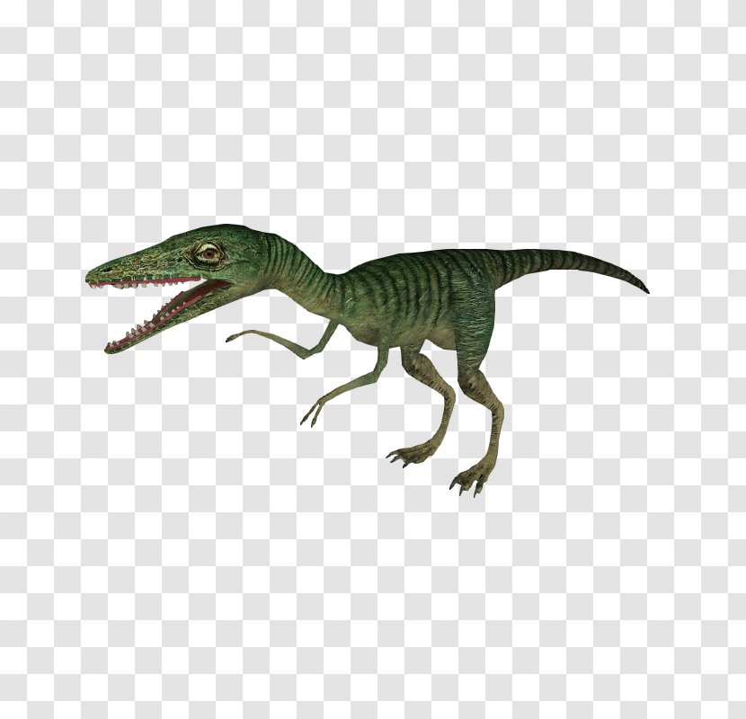 Velociraptor Compsognathus Deinonychus Tyrannosaurus Rex Animal - Figure - Suchomimus Jurassic World Transparent PNG