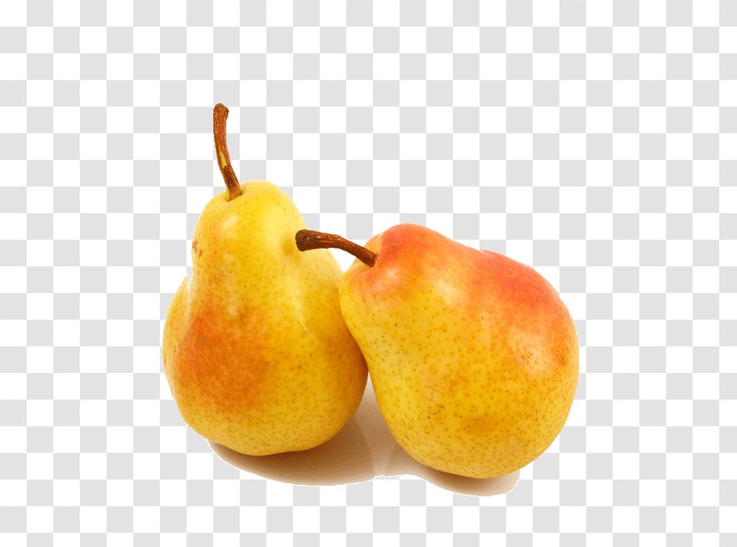 Conference Pear Fruit - Vegetable Transparent PNG