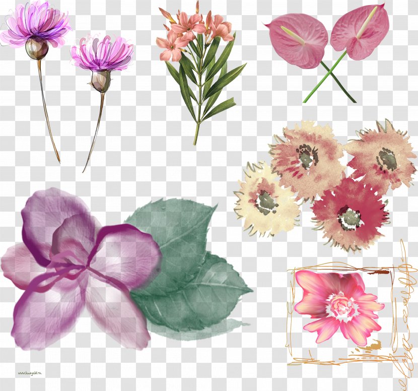 Floral Design Cut Flowers IFolder DepositFiles - Flowering Plant - Flower Transparent PNG