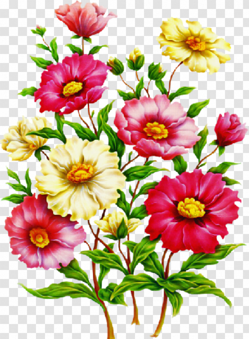 Floral Design Transparent PNG