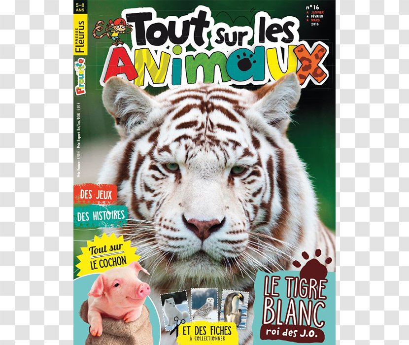 Magazine White Tiger Bengal Desktop Wallpaper Image - Science Vie - Assiette Transparent PNG