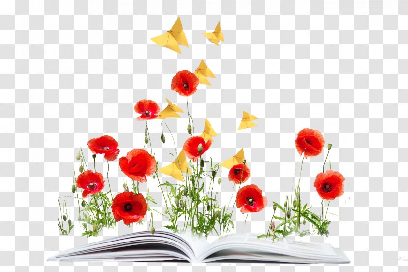 Common Poppy Opium Flower - Computer - Books On The Flowers Transparent PNG