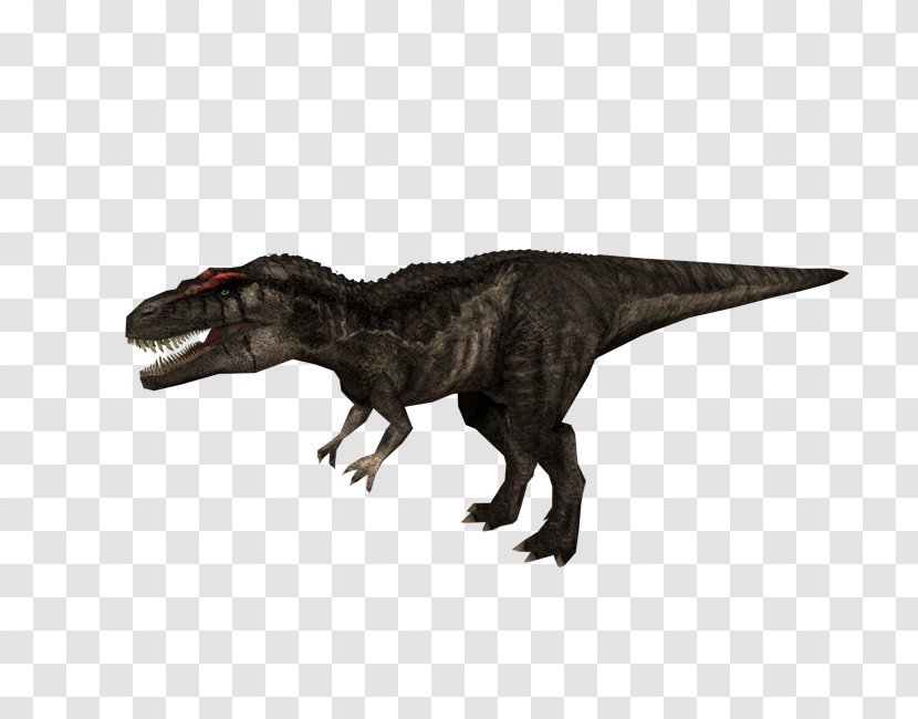Carcharodontosaurus Jurassic Park: Operation Genesis Tyrannosaurus Park III: Builder Dilophosaurus - Animal Figure Transparent PNG