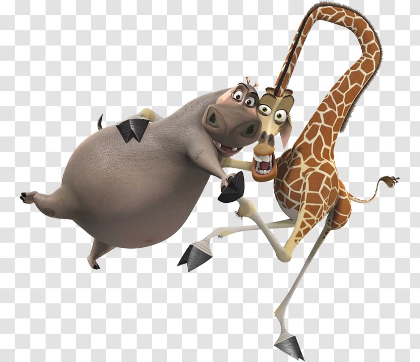 Melman Alex Gloria Northern Giraffe Hippopotamus - Penguins Of Madagascar Transparent PNG