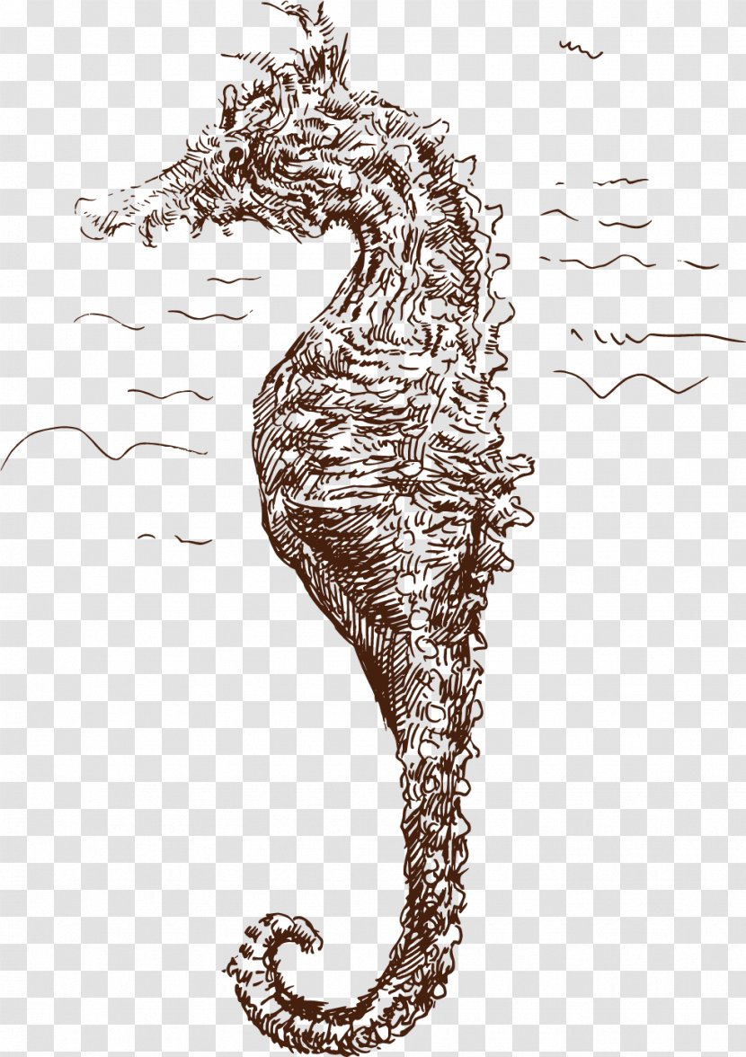 Seahorse Download - Google Images - Vector Painted Hippo Transparent PNG
