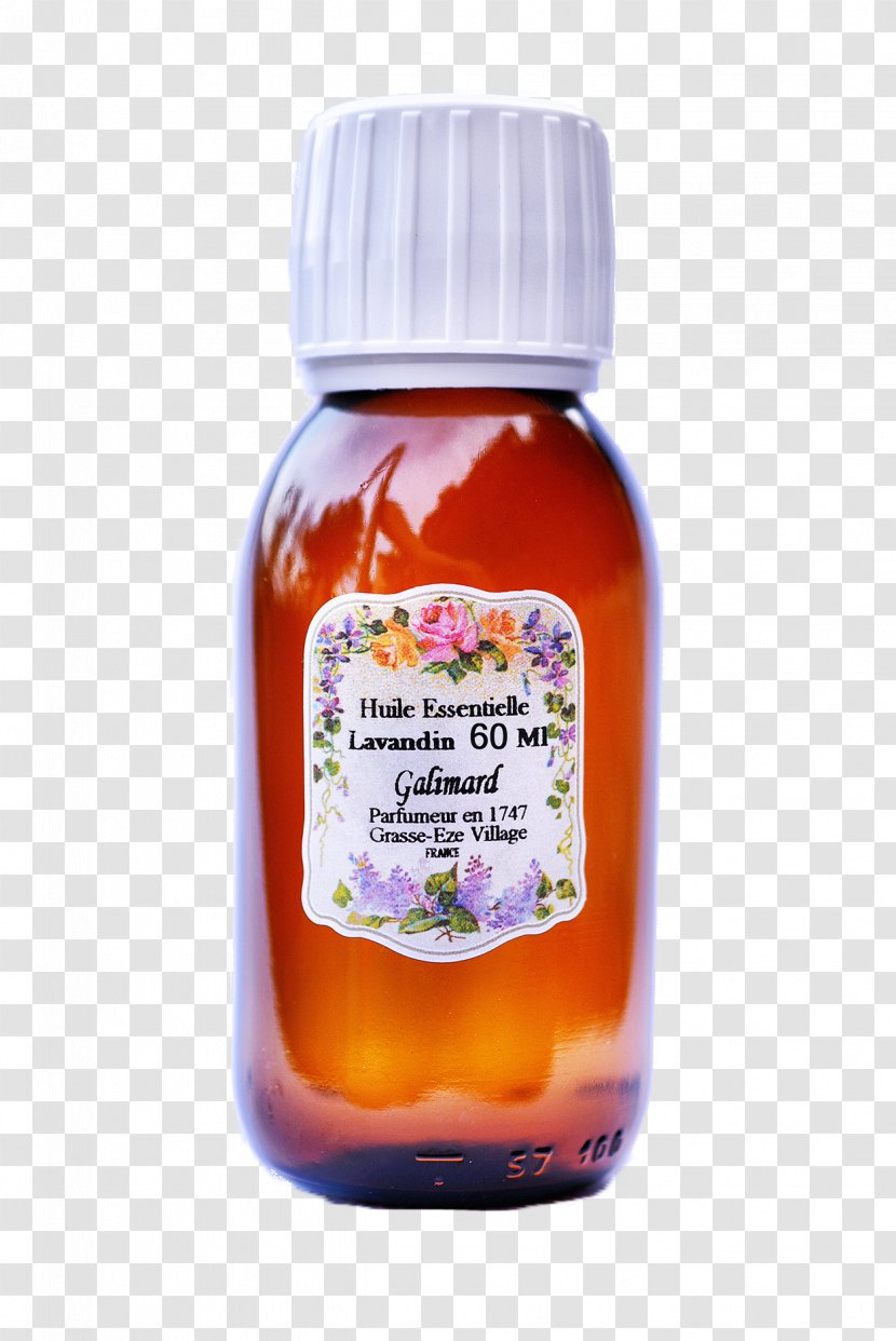 English Lavender Provence Oil Essential Transparent PNG