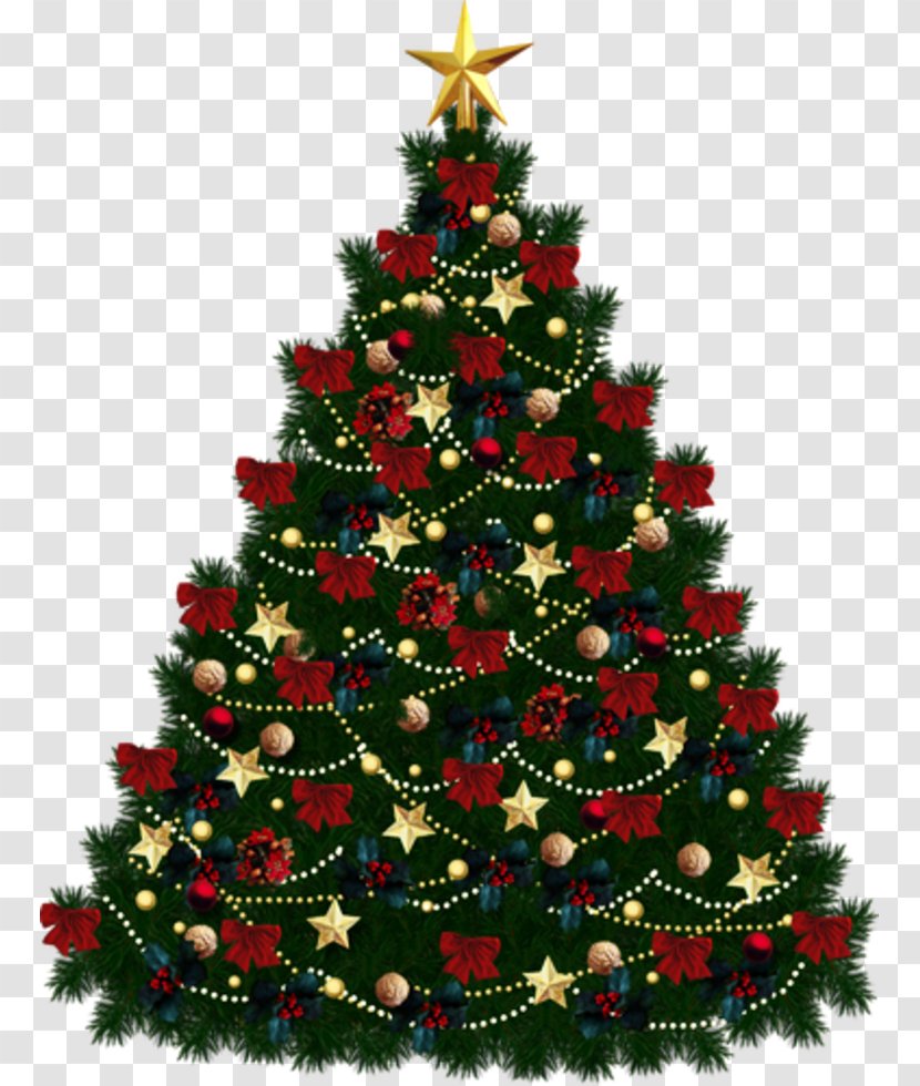 Christmas Tree Clip Art - Conifer Transparent PNG