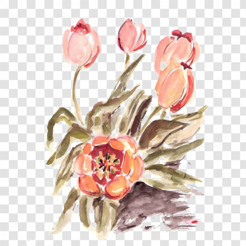 Floral Design Tulip Flower - Gratis - Gouache Picture Material Transparent PNG