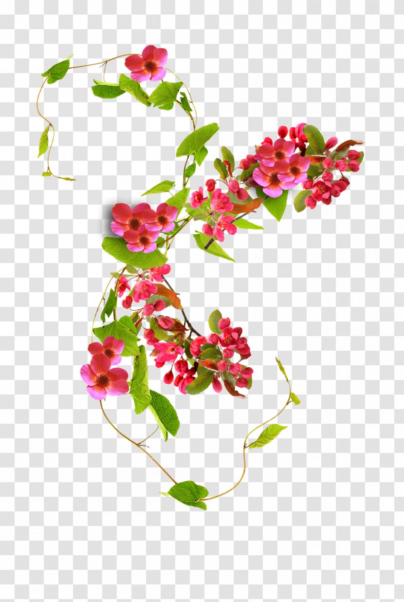 Floral Design Cut Flowers Red Rose - Flower Transparent PNG
