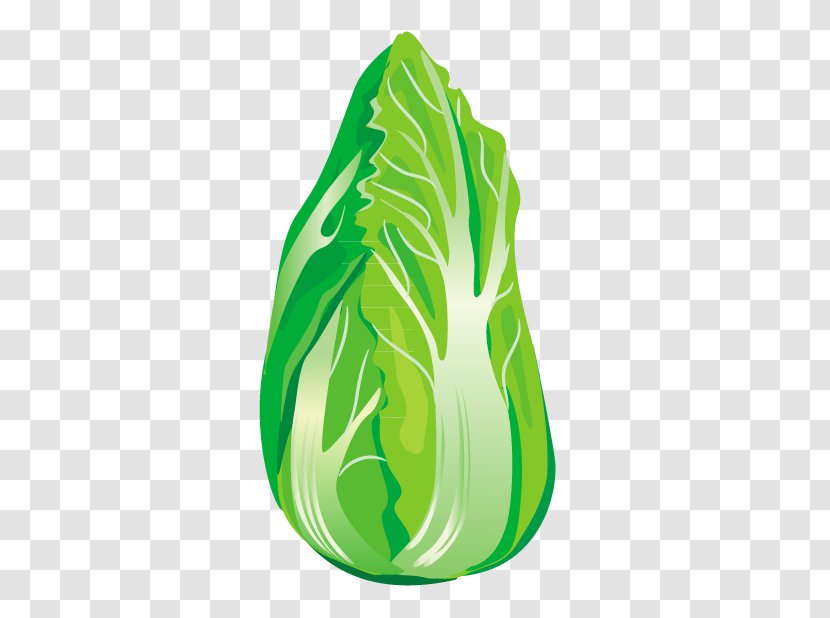 Green Vegetable Chinese Cabbage Transparent PNG