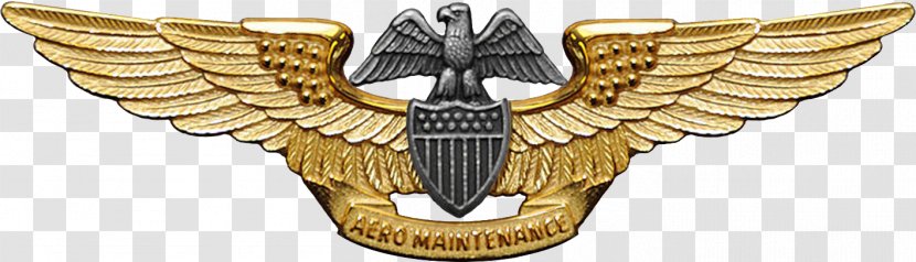 Airplane United States Navy Naval Aviation Flight Officer Army - Beak Transparent PNG