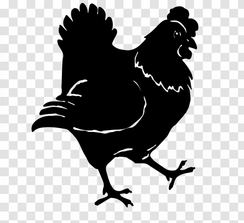Rooster Chicken Hen Garden Poule Pondeuse Transparent PNG
