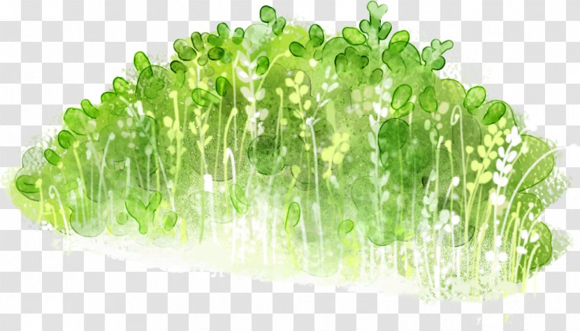 Fresh Green Grass - Herb Transparent PNG