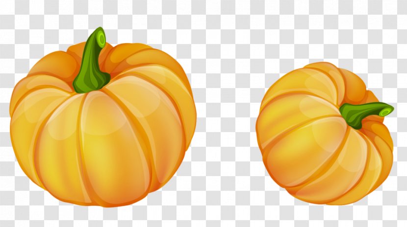 Pumpkin Calabaza Winter Squash Gourd Food - Orange - Pumpkins Clipart Transparent PNG
