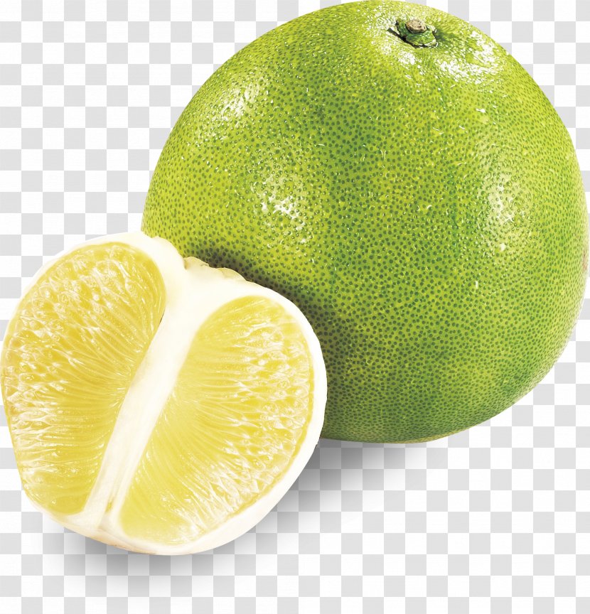 Persian Lime Pomelo Grapefruit Lemon - Diet Food - Attractive And Delicious Green Decorative Pattern Transparent PNG