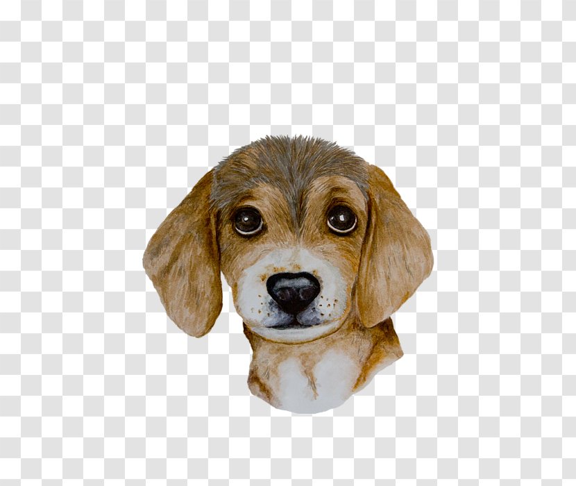 Beagle Harrier Puppy Dog Breed Companion Transparent PNG