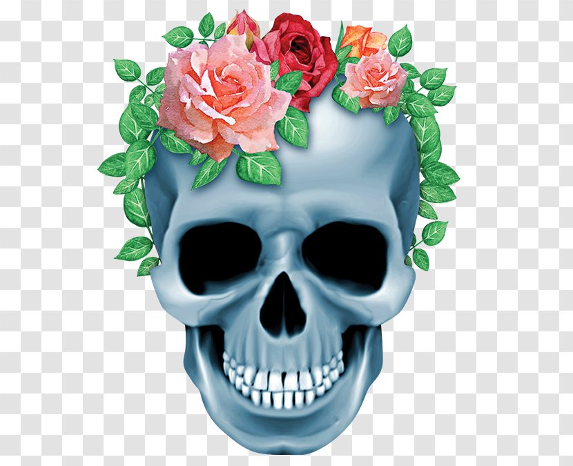 Human Skull Symbolism Skeleton Bone - Flowerpot Transparent PNG
