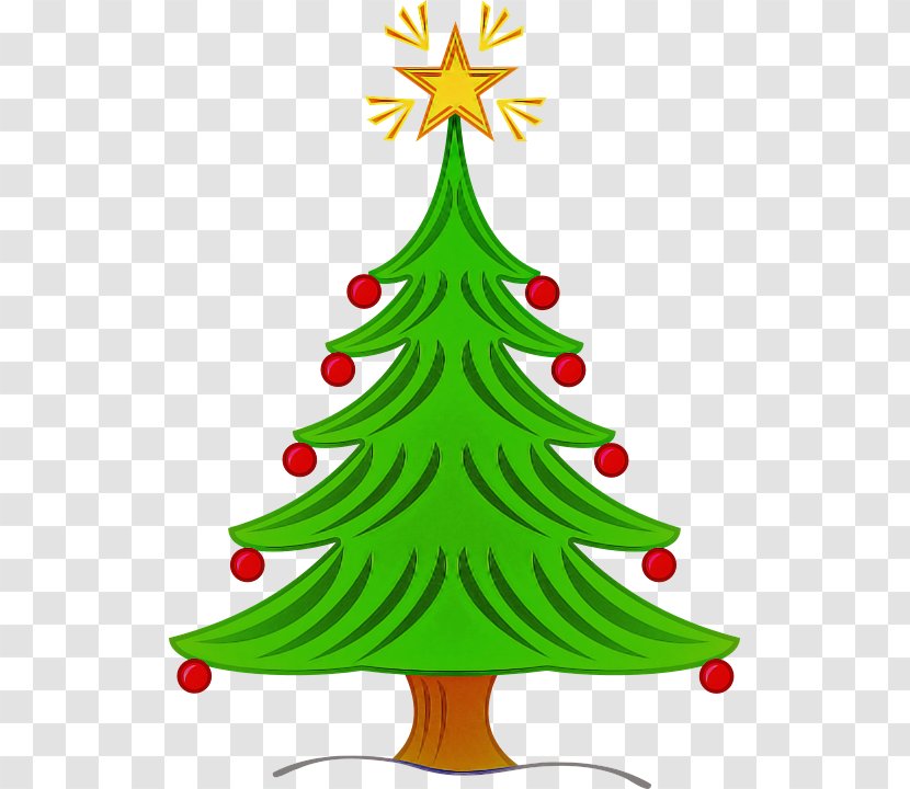 Christmas Tree - Pine Evergreen Transparent PNG