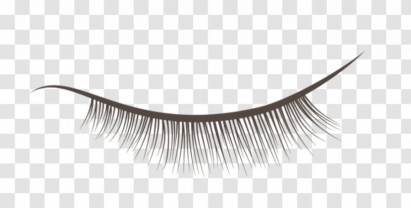 Eyelash Extensions Product Design - Frame Transparent PNG