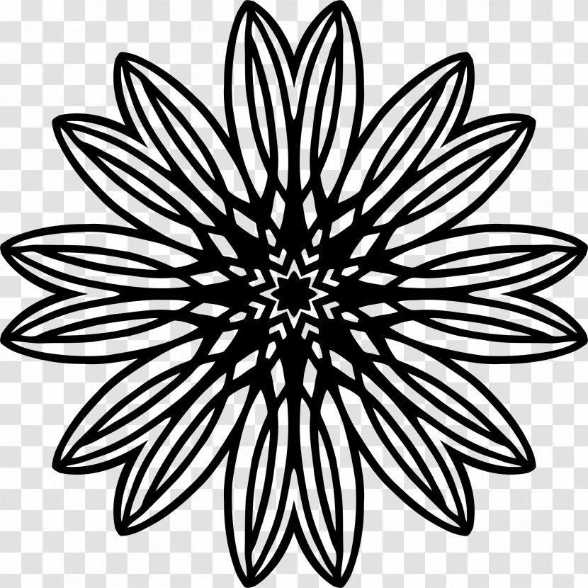 Line Art Photography Drawing - Monochrome - White Star Transparent PNG