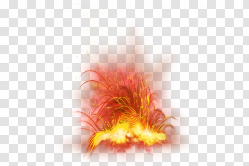 Light Flame Fire Clip Art - Organism Transparent PNG