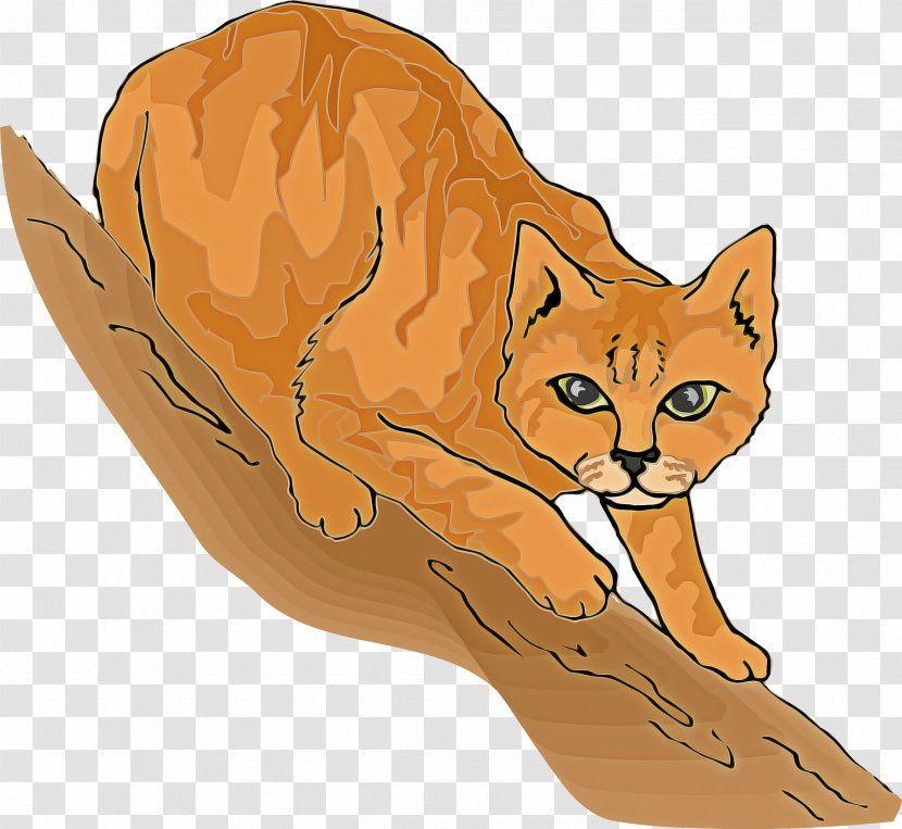 Cat Small To Medium-sized Cats Wildlife Tail Animal Figure - Drawing Transparent PNG
