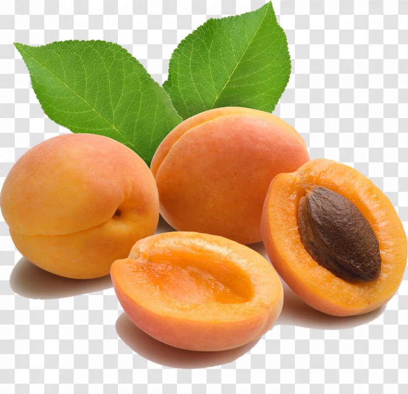Apricot Kernel Amygdalin Oil - Seed Transparent PNG